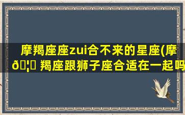 摩羯座座zui
合不来的星座(摩 🦉 羯座跟狮子座合适在一起吗)